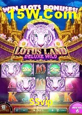 Slots de fortune e cartas de sorte